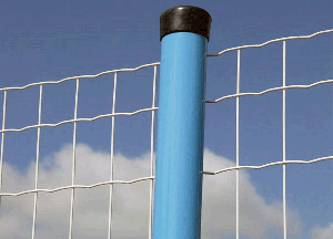 ·oWİlչ΄cڅݽB